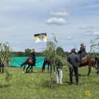 zdjęcie nr 37