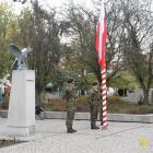 zdjęcie nr 37