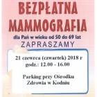 Fotka nr 1 z 2