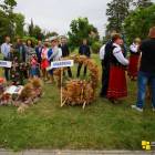 zdjęcie nr 90