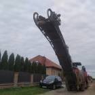 Fotka nr 4 z 17