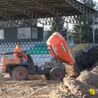 Fotka nr 5 z 37
