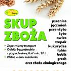 Fotka nr 0 z 13