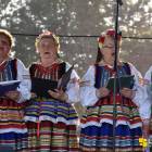 zdjęcie nr 135