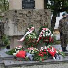 zdjęcie nr 19