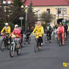 zdjęcie nr 58