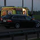 zdjęcie nr 7
