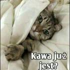 Fotka nr 0 z 13