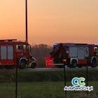 Fotka nr 3 z 10