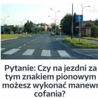 Fotka nr 3 z 4