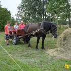 zdjęcie nr 19