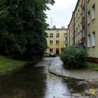 zdjęcie nr 42