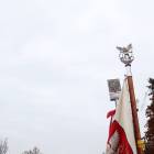 zdjęcie nr 118