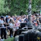 zdjęcie nr 119