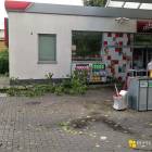 zdjęcie nr 12