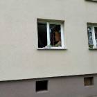 zdjęcie nr 8