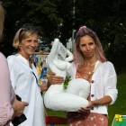 zdjęcie nr 91