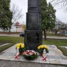 zdjęcie nr 7