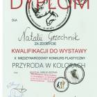 Fotka nr 3 z 6