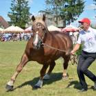zdjęcie nr 96