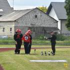 zdjęcie nr 87