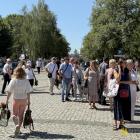 zdjęcie nr 15
