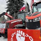 Fotka nr 5 z 16