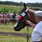 zdjęcie nr 128