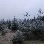 zdjęcie nr 40