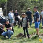 Fotka nr 3 z 12