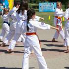 zdjęcie nr 41