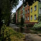 Fotka nr 5 z 56