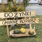 Fotka nr 0 z 152