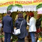 zdjęcie nr 31