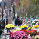 zdjęcie nr 12
