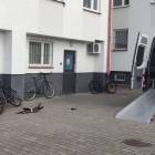 Fotka nr 1 z 3