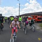 zdjęcie nr 230