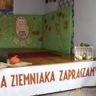 zdjęcie nr 12