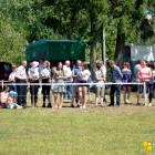 zdjęcie nr 190