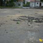 zdjęcie nr 14