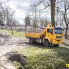 Fotka nr 5 z 10