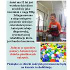 Fotka nr 2 z 3