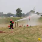 zdjęcie nr 215
