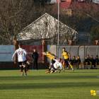 Fotka nr 2 z 12