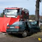 Fotka nr 2 z 5