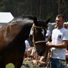 zdjęcie nr 135