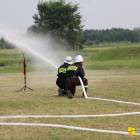 zdjęcie nr 274