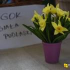 zdjęcie nr 34