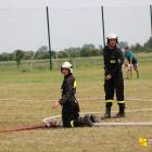 zdjęcie nr 390