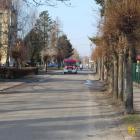 zdjęcie nr 63